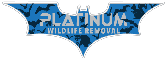 Pest Control Waterford